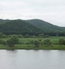 那条河,探寻黄河的千年文明与自然奇观